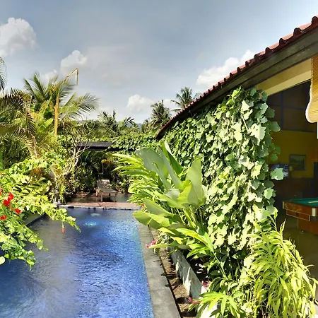 Villa Latebra Lovina  Exterior photo