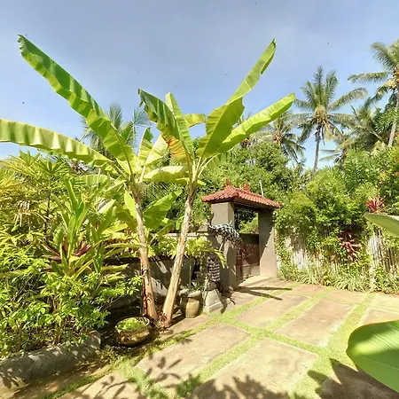 Villa Latebra Lovina  Exterior photo
