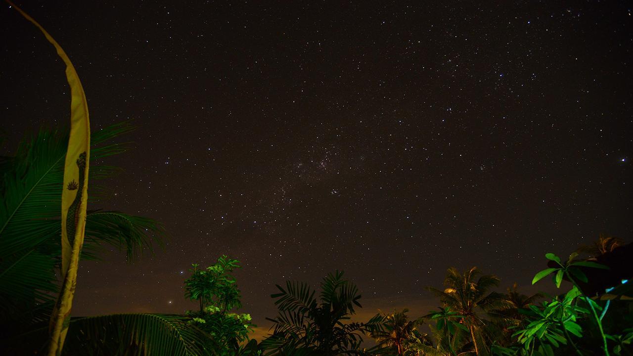 Latebra Lovina (Bali)