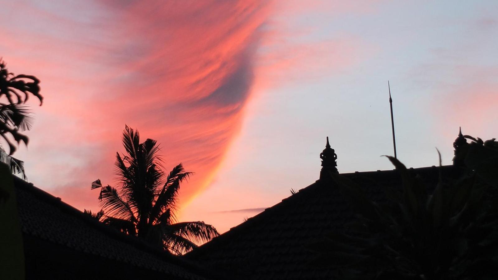 Villa Latebra Lovina (Bali)