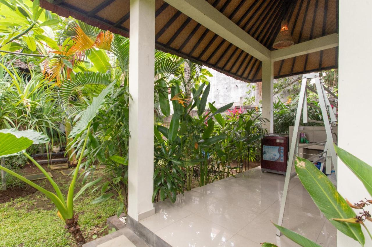 Latebra * Lovina (Bali)